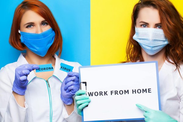 ¿Qué hacer si mi perro ha sido picado por una abeja?